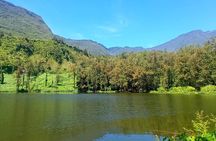 Private Tour of Salazie with a Driver Guide