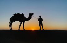 Overnight Camel Safari
