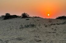 3 Days and 2 Nights Shiva's Desert Safari