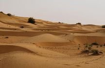 3 Days and 2 Nights Shiva's Desert Safari
