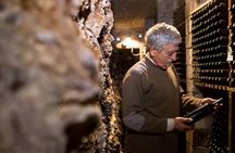 Cretan Delights - Wine, Olive Oil & Cooking Workshop from Chania