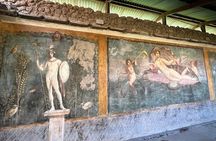 Amalfi Coast and Pompeii from Naples or Sorrento 