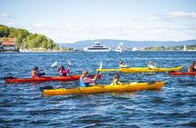 Oslo Sea Kayak Tour: Explore The Incredible Oslofjord
