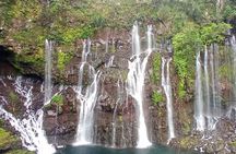 Private Tour of the Wild South with a Driver Guide