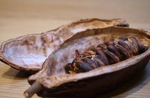 Fine Chocolate Tasting in Turin