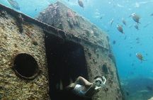 Che’s Snorkel trip! turtles, shipwrecks & photos (semi private)
