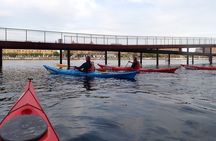 Rental Single Sea Kayak at Kalvebod Bolge