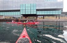 Rental Single Sea Kayak at Kalvebod Bolge