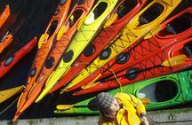 Rental Single Sea Kayak at Kalvebod Bolge