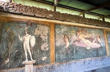 Pompeii Half Day with Archeological guide expertise from Naples