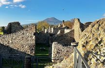 Pompeii Half Day with Archeological guide expertise from Naples
