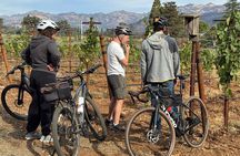 Cycle with a Winemaker in Napa Valley