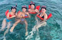 Nassau: Swimming Pigs And Snorkel With Turtles