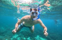 Half Day 3 Khai Island Tour Snorkeling Swimming Adventure Phuket
