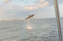 Sandestin Sunset Eco-Dolphin Cruise Aboard Sol y Luna