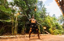 From Playa del Carmen ATV Adventure with Ziplines, Cenote