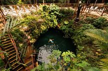 Small-Group 3 Hidden Cenotes Adventure with Tequila Tasting