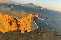 2 Days 1 Night Paracas Ica Tour from Lima