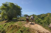 Horse Riding through Jungle with Local Lunch