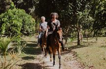 Horse Riding through Jungle with Local Lunch