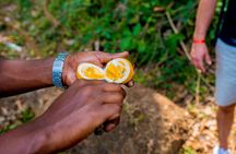Stone Town, Spice Farm, and Prison Island Tour