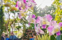 All-Garden Pass for the New York Botanical Garden