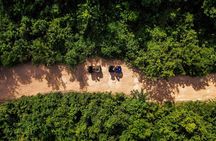 Cancun ATV Jungle Adventure, Ziplines, Cenote and Tequila Tasting