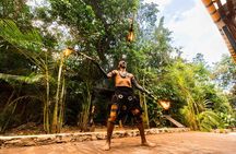 Cancun ATV Wild Pass, with Zipline, Cenote & Tequila Tasting