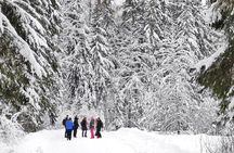 Lahemaa National Park and Three Waterfalls Tour