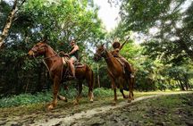 Horseback Riding with ATV, Zipline, Cenote and Tequila Tasting