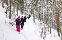 Lahemaa National Park and Three Waterfalls Tour