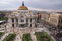 City Tour with Xochimilco and Coyoacan Tour 
