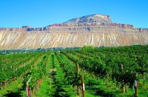 Palisade Wine Tour Luxury Wine Tasting Experience