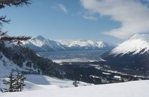 Turnagain Arm Winter Scenic Tour