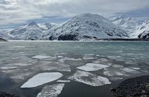 Turnagain Arm Winter Scenic Tour