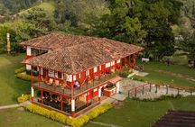 Immersive Coffee Farm Experience at Finca El Ocaso from Salento