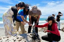 Franz Josef to Wanaka Small-Group Tour (One-Way) Includes Lunch
