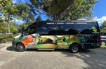 Premium Hobbiton Small Group Day Tour from Auckland 