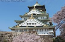 1 Day Takoyaki Making and Osaka Castle Walking Tour