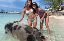 Private 32-Foot Boat Adventure: Snorkel, Sip & Fishing