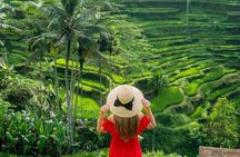 Bali: Customizable Ubud Tour with Licensed Tour Guide