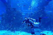 Half Day Tour Jakarta Aquarium and Pantai Indah Kapuk Jakarta