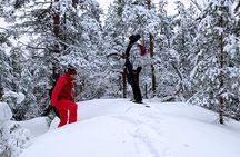 Hiking tour in Nuuksio National Park with meal and snacks