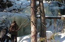 Hiking tour in Nuuksio National Park with meal and snacks