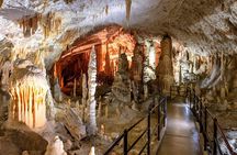 From Koper Postojna Cave and Ljubljana Day Tour