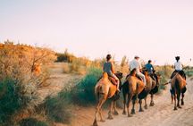 2 Days Private Safari Tour from Bukhara