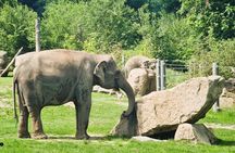 Prague Zoo Admission Ticket with Transfer and Audio Guide