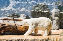 Prague Zoo Admission Ticket with Transfer and Audio Guide