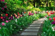 From Amsterdam - Private Keukenhof Garden Tour (Skip-the-line)