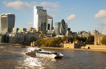 Changing of the Guard, Big Ben, Thames & Tower of London Tour